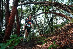 BIB: 
                            <button type="button" onclick="openModal(26345716)" class="btn btn-primary btn-sm float-right btn-popup" data-toggle="modal" data-target=".modal-high-quality">
                        <i class="fas fa-shopping-cart"></i> Add to Cart
                    </button>
                                            <button type="button" onclick="isThisMe(26345716, true)" class="btn btn-success btn-sm float-right btn-popup btn-isme hidden" data-toggle="tooltip" data-placement="bottom" title="นี่คือรูปของคุณใช่ไหม คลิกที่นี่เพื่อเอาเข้าอัลบั้ม">
                        <i class="fas fa-plus"></i> Add to album
                    </button>
                    <button type="button" onclick="isThisMe(26345716, false)" class="btn btn-warning btn-sm float-right btn-popup btn-isnotme hidden">
                        <i class="fas fa-ban"></i> Remove from album
                    </button>